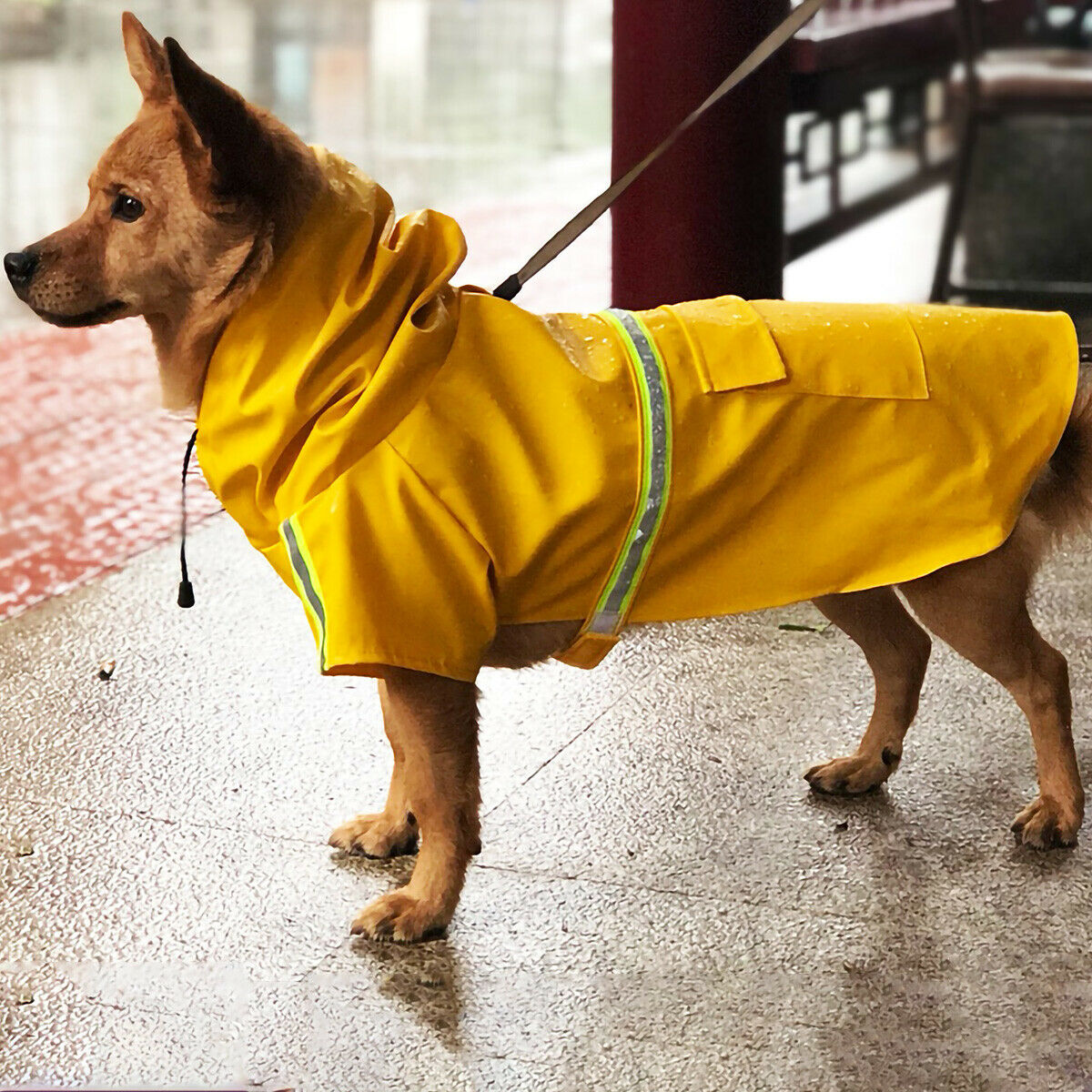 Dog Raincoat,Waterproof Dog Rain Jacket With Safety Reflective Stripe